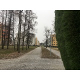 Мохнатый Саров - 3.jpg